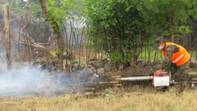 Las fumigaciones continúan por todo el sector del El Progreso.