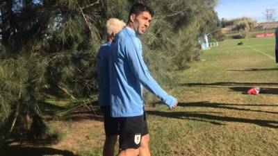 Luis Suárez es una de las esperanzas de gol de la selección de Uruguay para la Copa América. Foto @santipereira93.