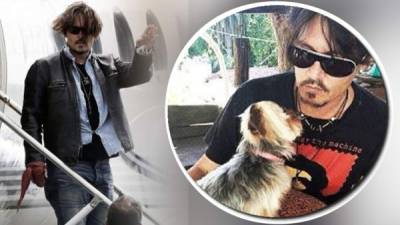 Johnny Depp, con uno de sus perros.
