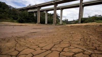 Muchas zonas de Latinoamérica enfrentan las peores sequías en décadas.