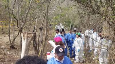 Según las autoridades los terrenos fueron encontrados gracias a una denuncia anónima que recibieron colectivos de familias con parientes desaparecidos.