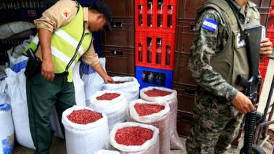 En los mercados de San Pedro Sula hay frijol rojo y rosado de buena calidad, según autoridades.