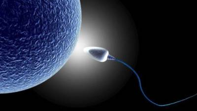 El esperma podría ser el problema en la mitad de todos los casos de las parejas estériles.