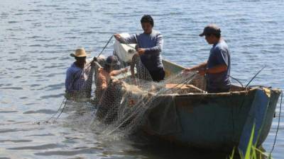 En las zonas rurales de la región muchas familias dependen de la pesca artesanal.