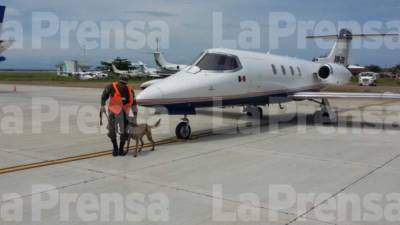 La avioneta fue inspeccionada hasta con perros antidrogas y no se encontró ninguna novedad.