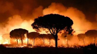 Imagen de EFE Televisión del incendio declarado anoche en el paraje La Peñuela de Moguer (Huelva) que ha entrado en el Espacio Natural de Doñana, según ha confirmado el consejero de Medio Ambiente y Ordenación del Territorio, José Fiscal. EFE/EFETV