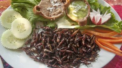 Mexican prehispanic meal of crickets and vegetables