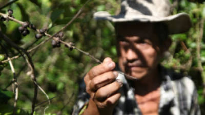 Foto: La Prensa