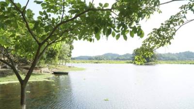 La Laguna de Ticamaya. Permanece abierta al público de 7:00 am a 6:00 pm, y está resguardada por personal de la Base Aérea Armando Escalón Espinal para mayor seguridad de quienes visiten el lugar.