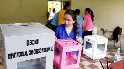 El RNP estima que más de 879,719 jóvenes votaron en las elecciones de 2017.