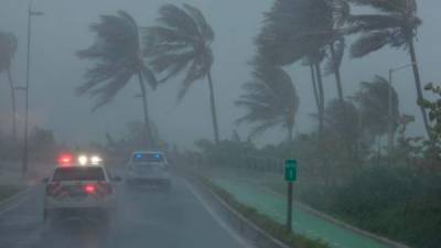 FORT LAUDERDALE, FL - SEPTEMBER 10: A tree is felled by winds produced by Hurricane Irma September 10, 2017 in Fort Lauderdale, Florida. The category 4 hurricane made landfall in the United States in the Florida Keys at 9:10 a.m. after raking across the north coast of Cuba. Chip Somodevilla/Getty Images/AFP