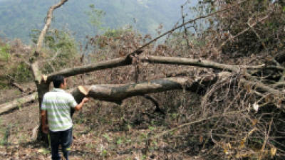 Foto: La Prensa