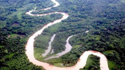 Más de 72% ha aumentado la deforestación en esta región desde 2020.