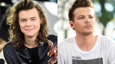 Harry Styles y Louis Tomlinson solían ser grandes amigos.