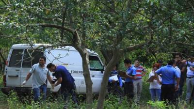 El cadáver de José Ramírez quedó tirado bajo el árbol en el que cortaba guayabas.