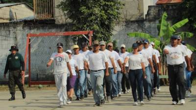 Los aspirantes comenzaron a recibir adiestramiento. Hay hombres y mujeres dispuestos a servir.