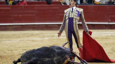 En los últimos años, los antitaurinos han cobrado fuerza en España donde sin embargo solo una región, las Islas Canarias, prohibe completamente las corridas, desde 1991.EFE