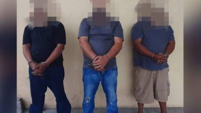 Los tres coyotes fueron capturados en Namasigüe, Choluteca.