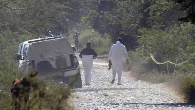 Hallaron 11 cadáveres en carretera del estado de Guerrero, México. AFP