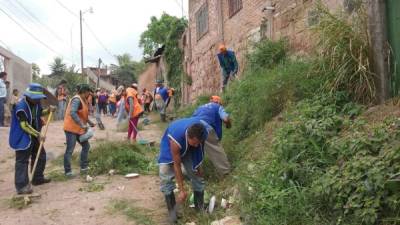 Las cuadrillas municipales del Distrito Central están eliminando los criaderos del zancudo transmisor del dengue, chikungunya y zika.