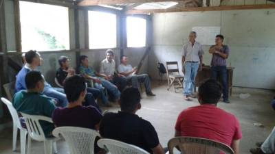 Los horticultores quieren proteger la montaña.