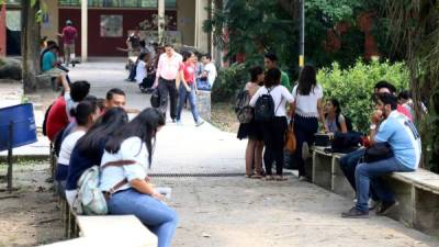 Estudiantes descansan en una de las plazas de la Unah-vs. Foto: Franklin Muñoz.