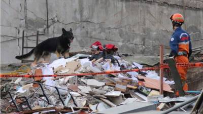 Un rescatista de la brigada del Japón y su perro continúan hoy las labores de búsqueda de cuerpos y personas con vida en el edificio de Álvaro Obregón en el centro de Ciudad de México, México. EFE