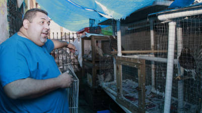 En la fundación hay muchos animales que antes estaban en la calle.