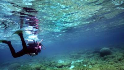 En Islas de la Bahía se puede practicar buceo.