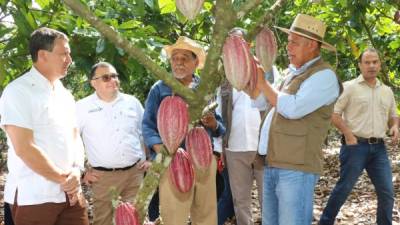 Representantes del Gobierno y técnicos en la materia visitaron la finca de Pablo Lagos, un ejemplo de conservación forestal.