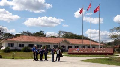 El proyecto de viviendas de Patuca III se adjudicó en agosto de 2011 a la empresa Inversiones Acrópolis S.A.