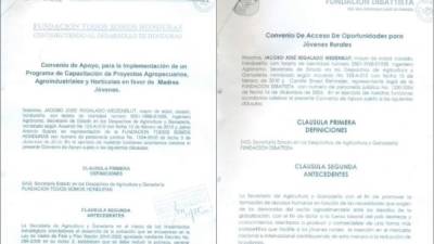 Estos documentos forman parte del expediente que incrimina a los acusados. Se trata de contratos firmados por el exministro de la Secretaría de Agricultura y Ganadería con presidentes de las dos fundaciones.