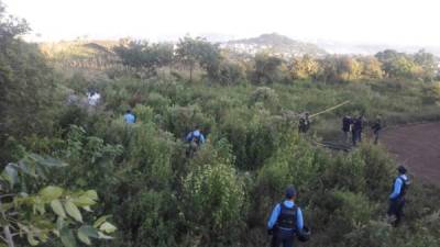 La Policía investiga si estos dos menores fueron abusados y asesinados por la misma persona.