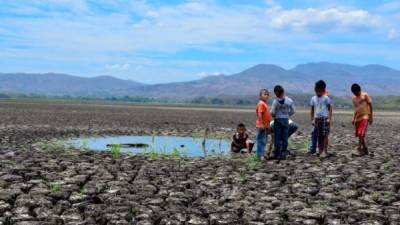 La laguna de Atescatempa en Jutiapa, Guatemala, se secó por la falta de lluvias en la zona del Trifinio