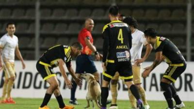 Momento en que el perro se metía al campo de juego. Foto Récord.