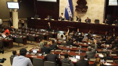 El pleno del Congreso conocerá el dictamen.