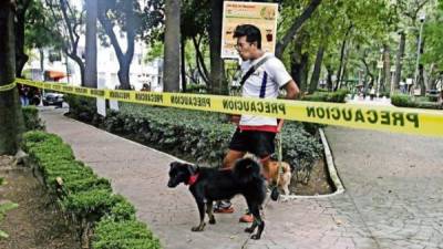 Las autoridades mexicanas cerraron el parque a las mascotas tras la muerte de 12 canes por envenenamiento.