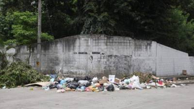 LA PRENSA hizo un recorrido y encontró al menos 15 basureros clandestinos que contaminan.