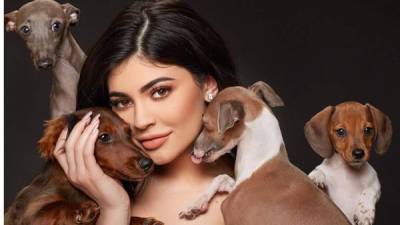 Antes de ser madre Kylie Jenner llegó a tener un conejito, un pollito y hasta ocho perros en su casa.
