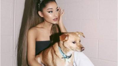 Ariana Grande recurre a sus mascotas para aliviar su ansiedad.