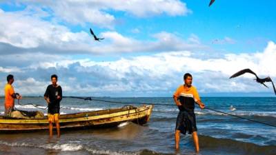 La campaña 'Pescando para la vida' busca también asegurar el futuro de los recursos marino-costeros de Honduras y de los hogares que dependen de ellos. Imagen ilustrativa