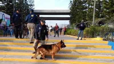 Los elementos de seguridad de la Universidad mientras realizaban el simulacro.