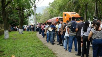 De varias partes del país, cientos de hondureños esperan un turno para entregar su hoja de vida.