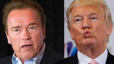 Arnold Schwarzenegger y Donald Trump pertenecen al Partido Republicano.