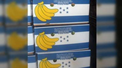 33,983 cajas de 40 libras es el total exportado al cierre del año pasado, de acuerdo con los reportes de comercio exterior del Banco Central de Honduras.