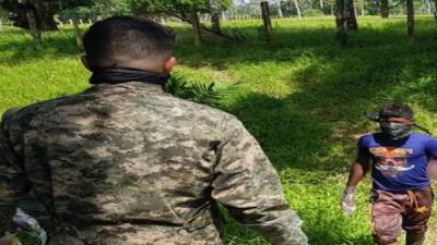 Autoridades realizando el levantamiento de los dos cuerpos en La Mosquitia, zona oriental de Honduras.