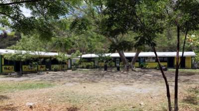 La escuela Ramón Amaya Amador cuenta con dos módulos de aulas con una sola jornada. En las afueras se encuentra un terreno amplio para deportes.