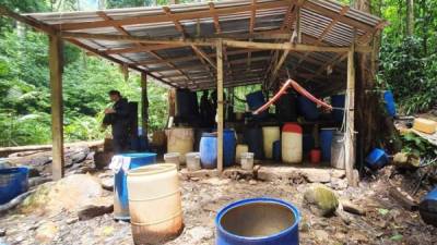 El sábado, agentes de los cuerpos antidrogas ejecutaron un operativo en el caserío La Danta de Iriona, Colón, que culminó con el desmantelamiento de tres narcolaboratorios y la destrucción de 14 manzanas de arbustos de hoja de coca.