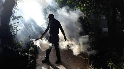 El esfuerzo por eliminar el zika enfrenta nuevos problemas conforme los mosquitos que lo transmiten adquieren una mayor resistencia.