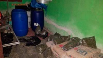 Los barriles y las bolsas de supuesta marihuana fueron trasladados a Tegucigalpa para su análisis.